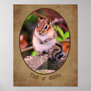 Creëer Uw eigen Chipmunk Wildlife gepersonaliseerd Poster