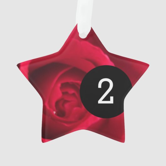 Creëer Uw eigen Eenvoudige Easy 2 afbeeldingen ste Ornament (achterkant)