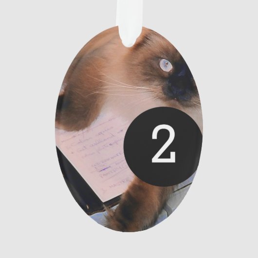 Creëer Uw eigen Eenvoudige Eenvoudige 2 afbeelding Ornament (achterkant)