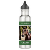 Creëer Uw eigen elegante gepersonaliseerde paarden Waterfles (Links)