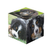 Creëer uw eigen familie huisdier foto collage mono kubus (Voorkant hoekig)