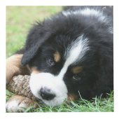 Creëer uw eigen familie huisdier foto collage mono kubus (Voorkant)