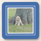 Creëer Uw eigen foto Blauw en wit Bier Onderzetter (Voorkant)