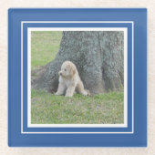 Creëer Uw eigen foto Blauw en wit Glazen Onderzetter (Voorkant)