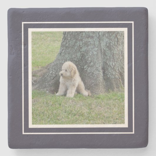 Creëer Uw eigen foto Blauw en wit Stenen Onderzetter (Voorkant)