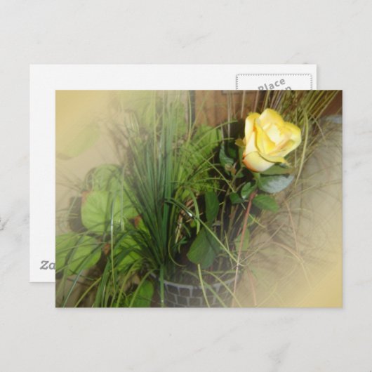 CREËER UW EIGEN FOTO BRIEFKAART (Voorkant / Achterkant)