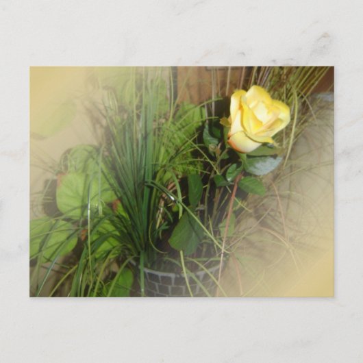 CREËER UW EIGEN FOTO BRIEFKAART (Voorkant)