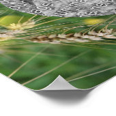 Creëer uw eigen foto gedroogd zomergras Lijst Poster (Hoek)