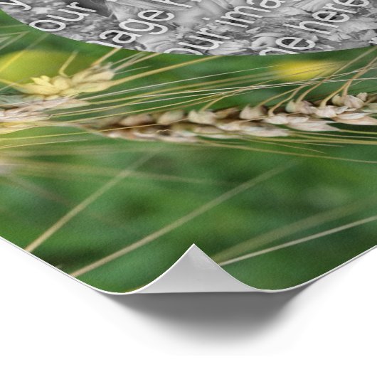 Creëer uw eigen foto gedroogd zomergras Lijst Poster (Hoek)