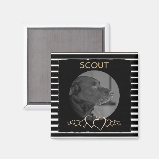 Creëer Uw eigen foto | Gepersonaliseerde huisdier  Magneet (Voorkant / Achterkant)