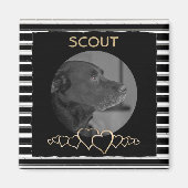 Creëer Uw eigen foto | Gepersonaliseerde huisdier  Magneet (Voorkant)