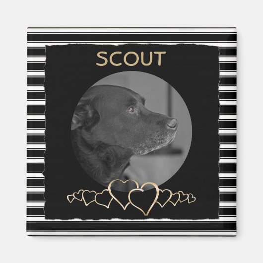 Creëer Uw eigen foto | Gepersonaliseerde huisdier  Magneet (Voorkant)