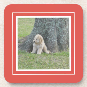 Creëer Uw eigen foto, koraal en wit Bier Onderzetter