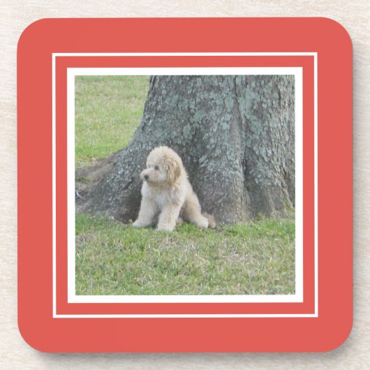 Creëer Uw eigen foto, koraal en wit Bier Onderzetter (Voorkant)