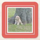 Creëer Uw eigen foto, koraal en wit Kartonnen Onderzetters (Voorkant)