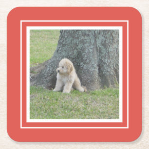 Creëer Uw eigen foto, koraal en wit Kartonnen Onderzetters