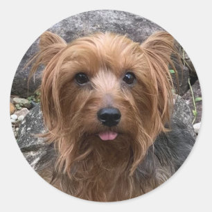 Creëer Uw eigen foto op maat van uw eigen foto Ronde Sticker