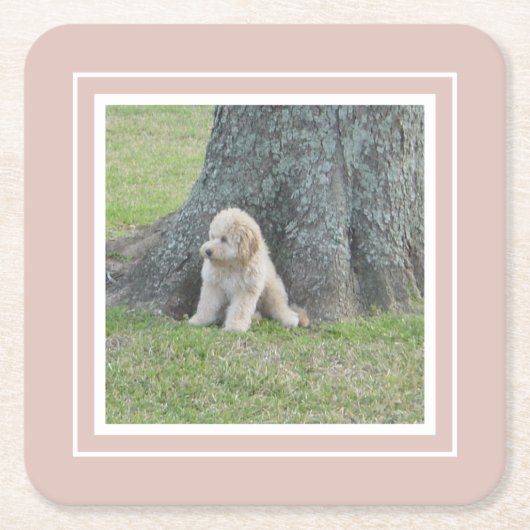 Creëer Uw eigen foto roze en wit Kartonnen Onderzetters (Voorkant)