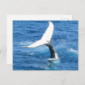 Creëer uw eigen foto vakantiepost Kaart (Voorkant / Achterkant)