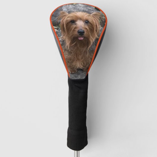 Creëer Uw eigen foto van de Dog Aangepast Sinaasap Golfheadcover (Voorkant)