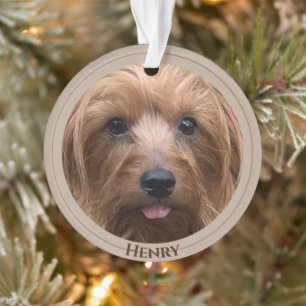 Creëer Uw eigen foto van de Dog Aangepaste Pet Pu Ornament