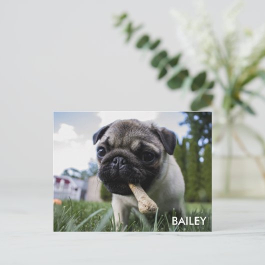 Creëer Uw Eigen Foto van de Douane Briefkaart (Staand voorkant)