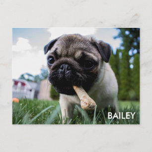 Creëer Uw Eigen Foto van de Douane Briefkaart