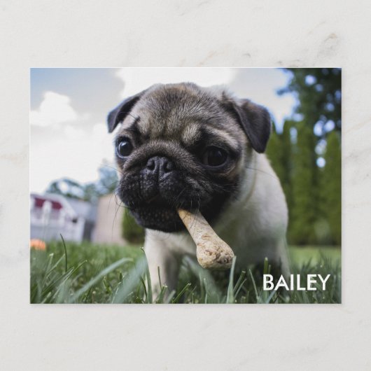 Creëer Uw Eigen Foto van de Douane Briefkaart (Voorkant)