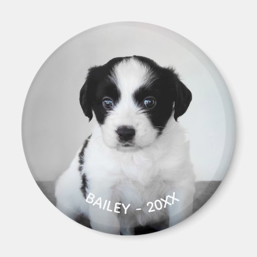 Creëer Uw eigen foto van het Pet en Jaar Magneet (Voorkant)