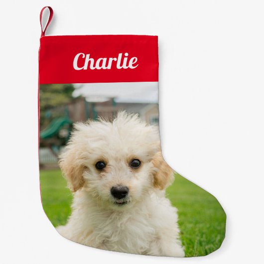 Creëer Uw eigen foto van Pet Dog Kleine Kerstsok (Voorkant)