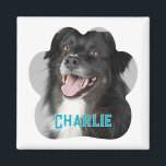 Creëer Uw eigen foto van Pet Dog Magneet<br><div class="desc">Introductie van de Creëer Your Own Pet Dog Photo Magnet, de perfecte manier om je geliefde harige vriend te laten zien waar je ook gaat! Personaliseer uw magneet met een favoriete foto van uw hond, prachtig gemonografeerd met hun naam. Dit veelzijdige accessoire is ideaal voor het trots weergeven op uw...</div>