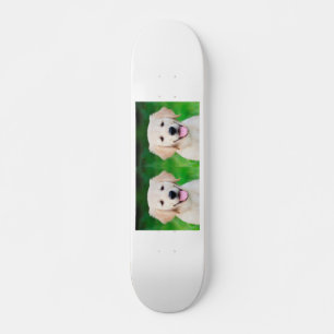 Creëer Uw eigen foto van Pet Dog Persoonlijk Skateboard