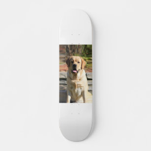 Creëer Uw eigen foto van Pet Dog Persoonlijk Skateboard