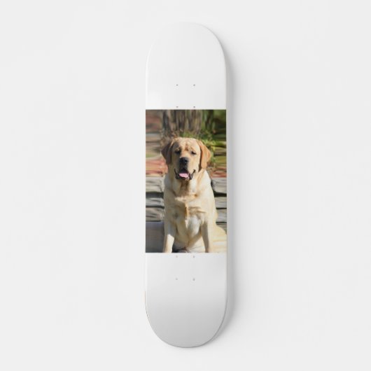 Creëer Uw eigen foto van Pet Dog Persoonlijk Skateboard (Voorkant)
