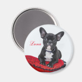 Creëer Uw eigen foto van Pet Magneet (Voorkant / Achterkant)