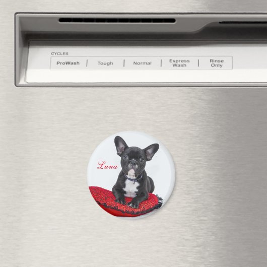 Creëer Uw eigen foto van Pet Magneet (Insitu (Vaatwasser))