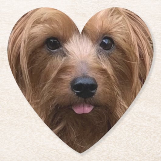 Creëer Uw eigen foto van uw eigen hond Aangepaste  Kartonnen Onderzetters (Voorkant)