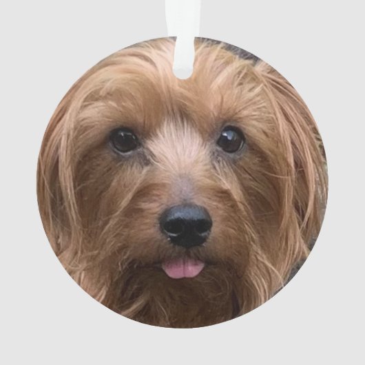 Creëer Uw eigen foto van uw eigen hond Aangepaste  Ornament (achterkant)