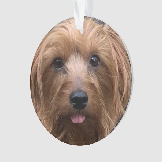 Creëer Uw eigen foto van uw eigen hond Aangepaste  Ornament (voorkant)