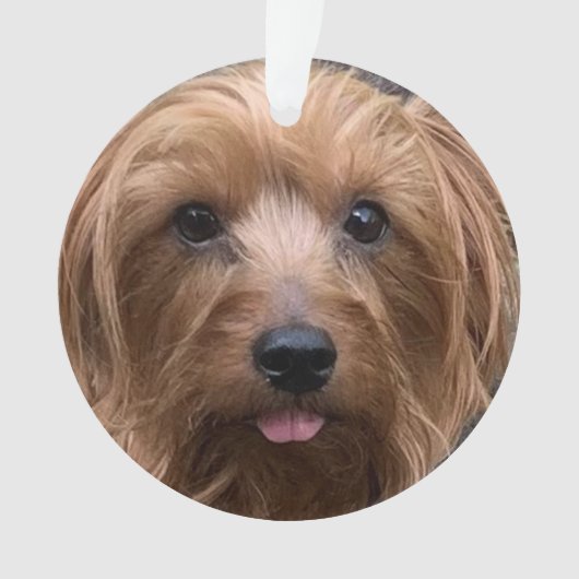 Creëer Uw eigen foto van uw eigen hond Aangepaste  Ornament (voorkant)