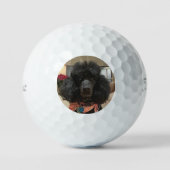 Creëer Uw eigen foto van uw hond Aangepast Golfballen (Voorkant)