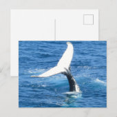 Creëer Uw eigen foto Wenskaart Briefkaart (Voorkant / Achterkant)