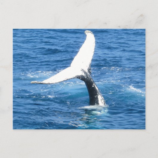 Creëer Uw eigen foto Wenskaart Briefkaart (Voorkant)