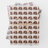 Creëer Uw eigen fotocollage Inpakpapier Vel (In situ)