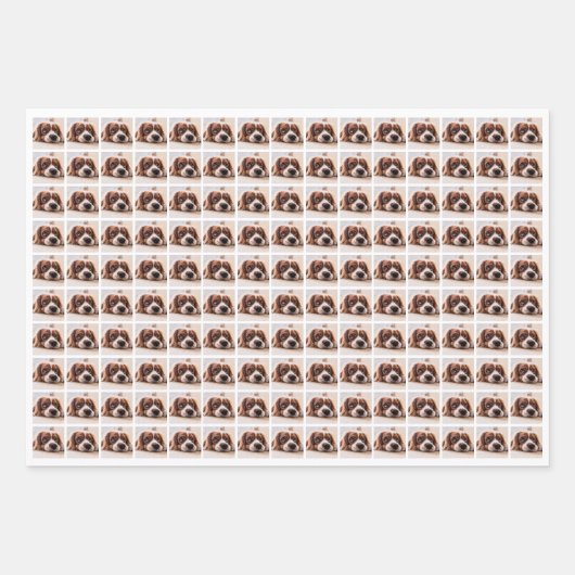 Creëer Uw eigen fotocollage Inpakpapier Vel (Voorkant)