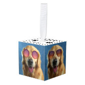 Creëer Uw eigen fotocollage van 4 Pet Decoratie (Voorkant hoekig)