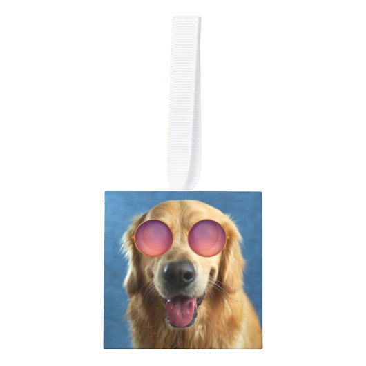 Creëer Uw eigen fotocollage van 4 Pet Decoratie (Voorkant)