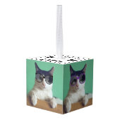 Creëer Uw eigen fotocollage van 4 Pet Decoratie (Achter hoekig)