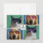 Creëer Uw eigen fotocollage van 4 Pet Feestdagenkaart (Voorkant / Achterkant)