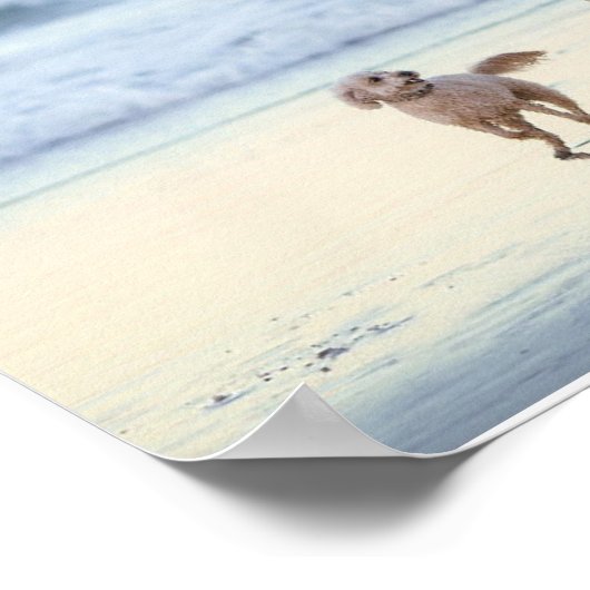 Creëer Uw eigen fotocollage voor 4-reeks Poster (Hoek)